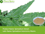 Epimedium Extract - Icariin 20%