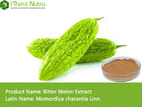 Bitter Melon Extract - Total Saponins/Charantin 10%