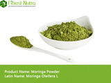 Moringa Leaf Powder - Moringa Leaf Powder