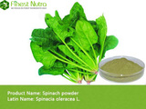 Spinach Powder - Vegetable Powder