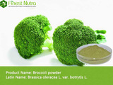 Broccoli Powder - Vegetable Powder