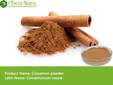 Cinnamon Powder - Cinnamon Powder