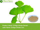 Ginkgo Biloba Extract - Ginkgo Flavone 24%