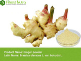 Ginger Powder - Vegetable Powder