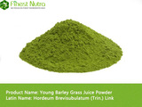 Young Barley Grass Juice Powder - Super Foods